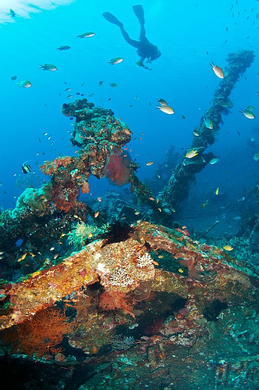 IMG_8979 137.jpg :: The World War II Liberty Wreck off of Tulamben, Bali, Indonesia, Indian Ocean.