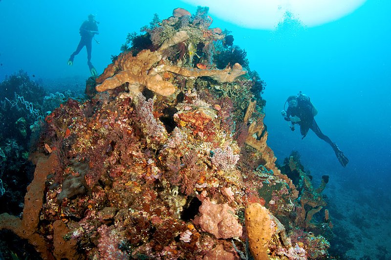 IMG_9104 261.jpg :: Divers explore the coral reefs off of Bali, Indonesia, Indian Ocean.