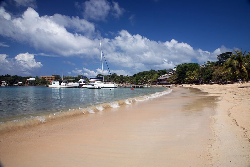 IMG_9155.jpg :: The clear waters of Half Moon Bay, Roatan, Honduras.