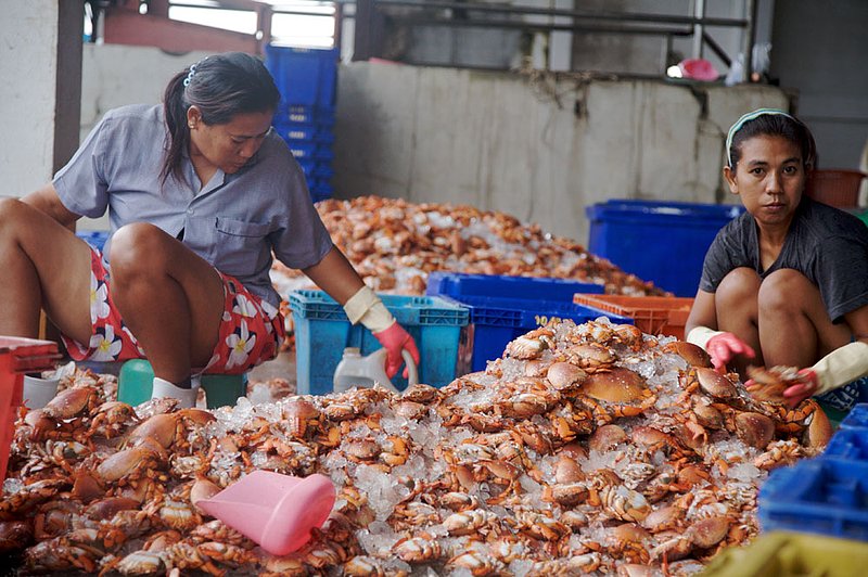 IMG_9747.jpg :: Thai women sorting through the morning catch of crab, Khao Lak, Thailand.