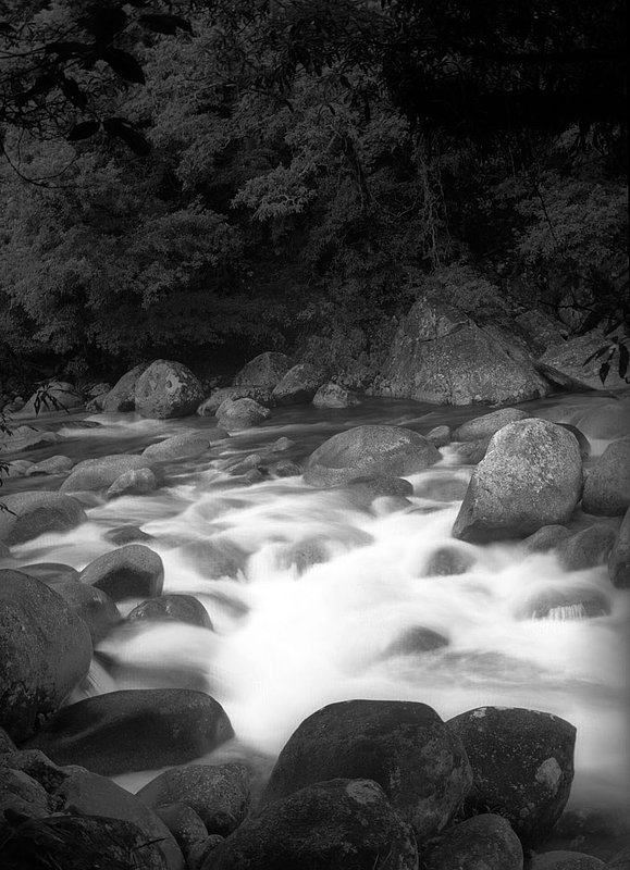 australianriver.jpg :: River near Cape Tribulation, Queensland, Australia