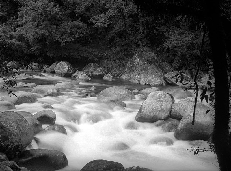 australianriver2.jpg :: A river near Cape Tribulation, Queensland, Australia.