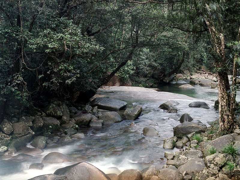 austrlliaarivver.jpg :: A river near Cape Tribulation, Queensland, Australia.