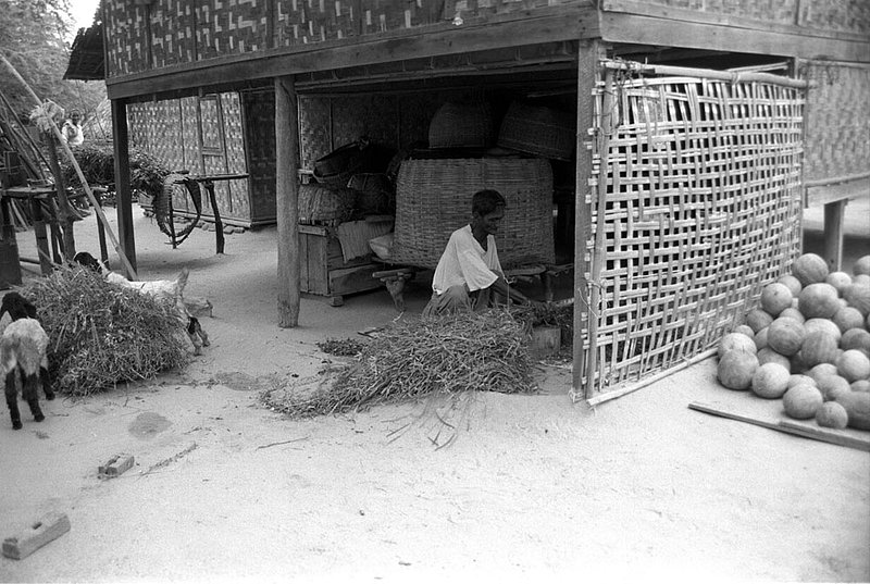 burmesefarmer.jpg :: A Burmese farmer preparing food for his goats in Bagan, Myanmar.