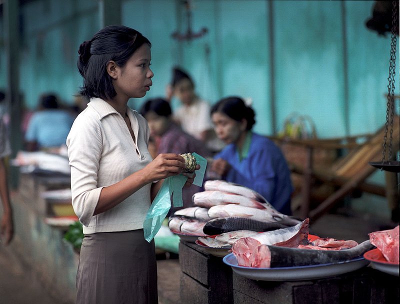 burmesefishgirl.jpg :: A young Burmese woman eating fruit next to a fish stall at a market in Bagan, Myanmar.