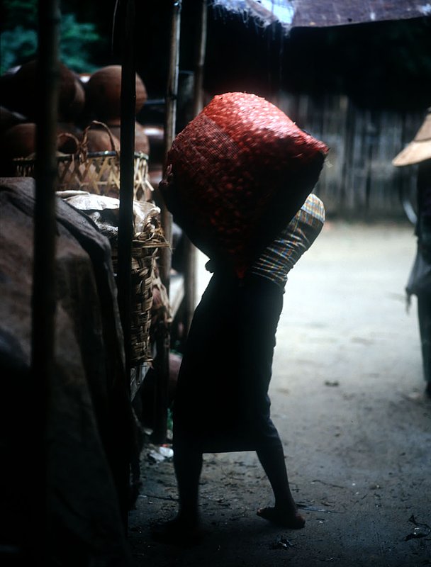 burmesemansack.jpg :: A Burmese man carries a heavy bag of betel nut in a market in Bagan, Myanmar.