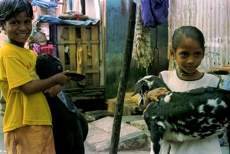 goatkids3.jpg :: Two young children in Mumbai, India show off their goats.