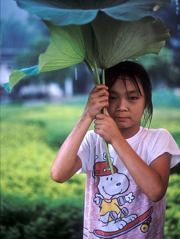 lotusleafgirl.jpg :: A young Chinese girl shield herself from the rain using a lotus leaf in Guilin, China.