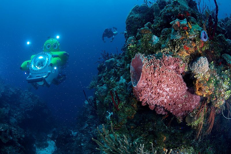 sub-and-diver.jpg