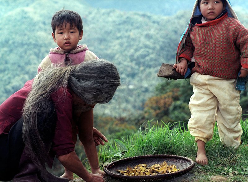 vietwomanandchildren.jpg :: Vietnamese grandmother and grandchildren, Vietnam