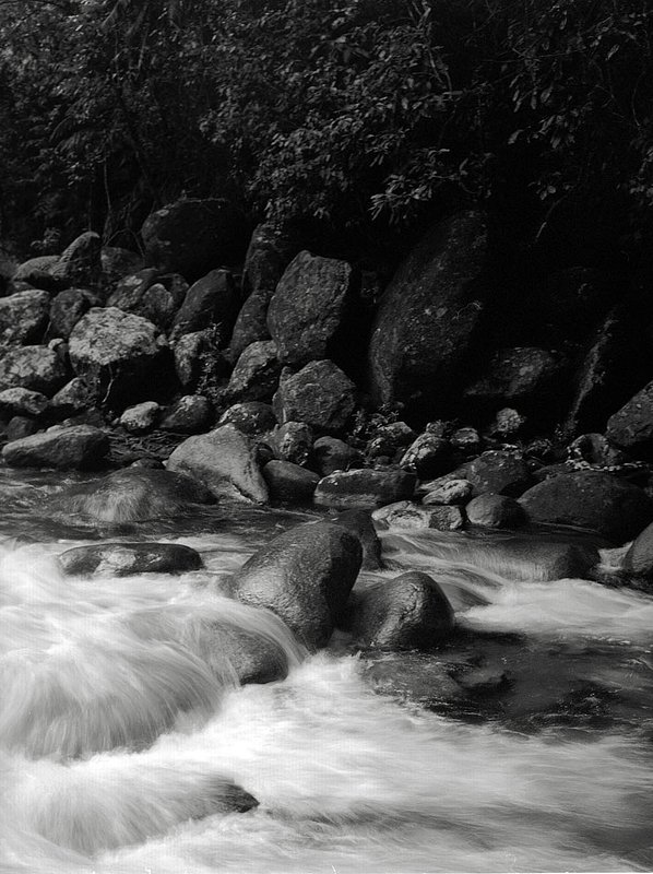 waterfallaustralia.jpg :: A river near Cape Tribulation, Queensland, Australia.