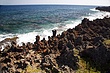 IMG_0843.jpg