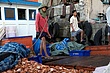 IMG_1770.jpg