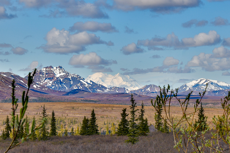 AK013.jpg :: View of Denali Mountain far off in the distance

Denali National Park, Alaska - Spring 2025