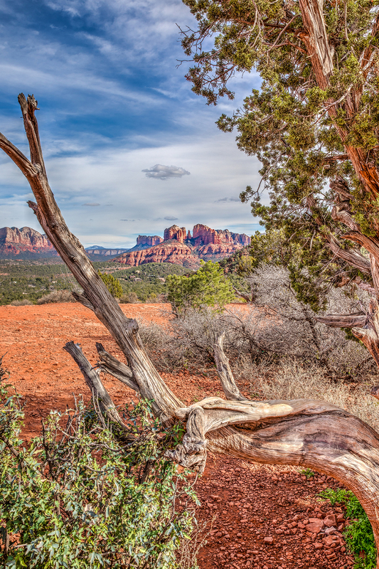 AZ026.jpg :: Cathedral Rock in the distance as viewed from a nearby plateau in Sedona

Sedona AZ - Winter 2019