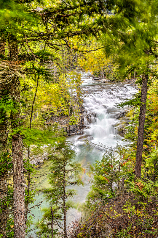 MT005.jpg :: Tucked in the woods in the West portion of Glacier National Park lies McDonald Falls

Glacier National Park, MT - Fall 2019