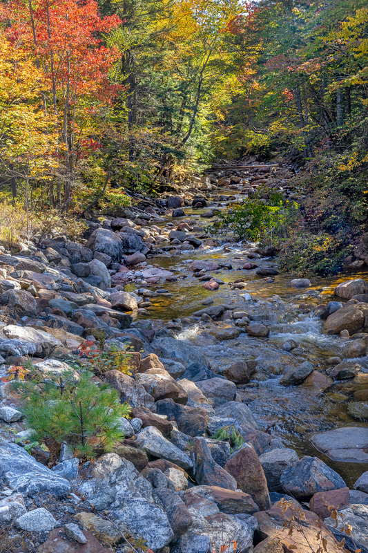 NH053.jpg :: Small creek immediately South Of Kancamagus Highway

Lincoln NH - Fall 2023

