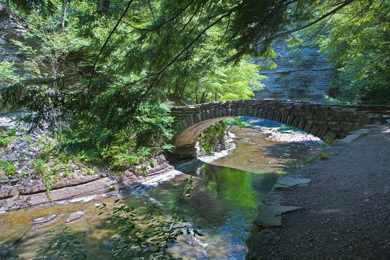 NY145.jpg :: STONY BROOK STATE PARK
DANSVILLE NY

SUMMER 2009