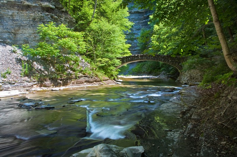 NY146.jpg :: STONY BROOK STATE PARK
DANSVILLE NY

SUMMER 2009