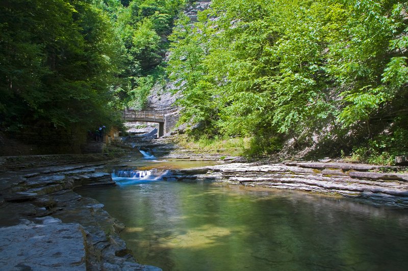 NY148.jpg :: STONY BROOK STATE PARK
DANSVILLE NY

SUMMER 2009