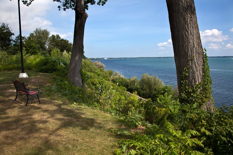 NY199.jpg :: A view through the trees at Seneca Lake's North end

Geneva NY
Summer 2010