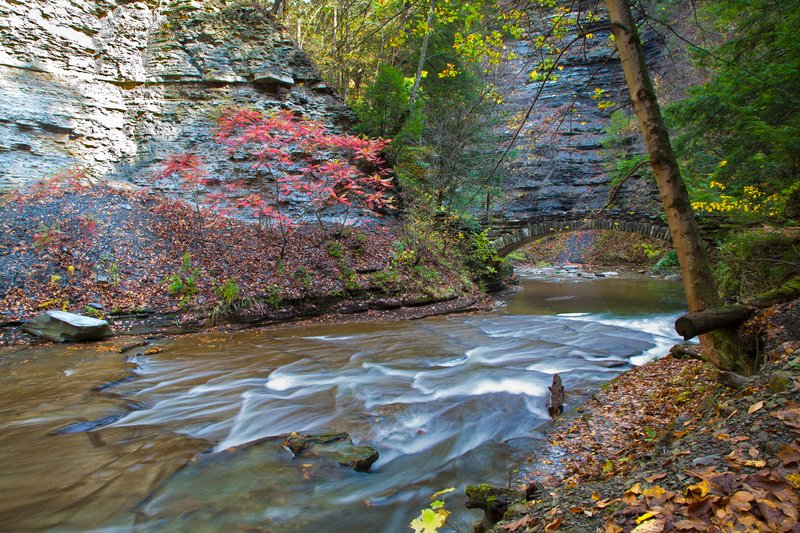 NY261.jpg :: Stony Brook State Park in the Fall of 2011

Dansville NY - Fall 2011
