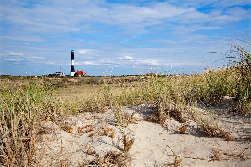 NY264.jpg :: Another landscape view of Fire Island Lighthouse

Fire Island, NY - Fall 2011