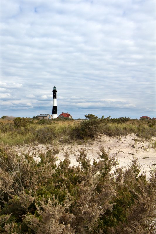 NY265.jpg :: Another portrait view of Fire Island Lighthouse

Fire Island, NY - Fall 2011