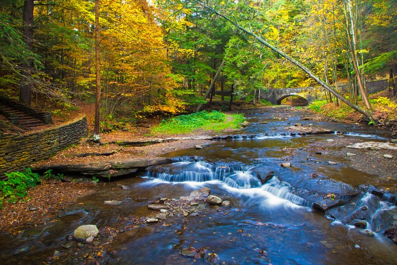 NY269.jpg :: Letchworth State Park's Wolf Creek in the mid Fall season

Mt. Morris NY - Fall 2011