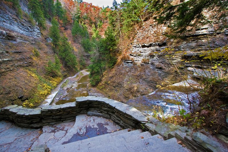 NY289.jpg :: A Fall view from within Stony Brook State Park

Dansville NY - Fall 2009
