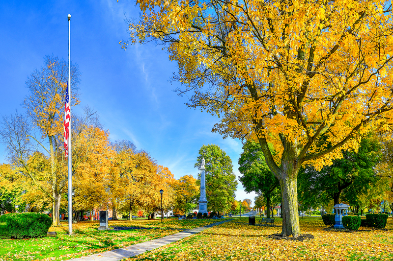 NY648.jpg :: Late Fall view of Circle Park features a Civil War monument & other monuments

Avon NY - Fall 2018