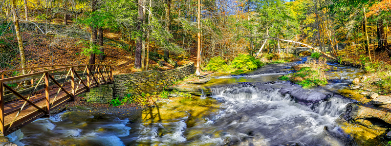 NY649(1).jpg :: Late Fall panoramic of Wolf Creek

Letchworth State Park - Fall 2018