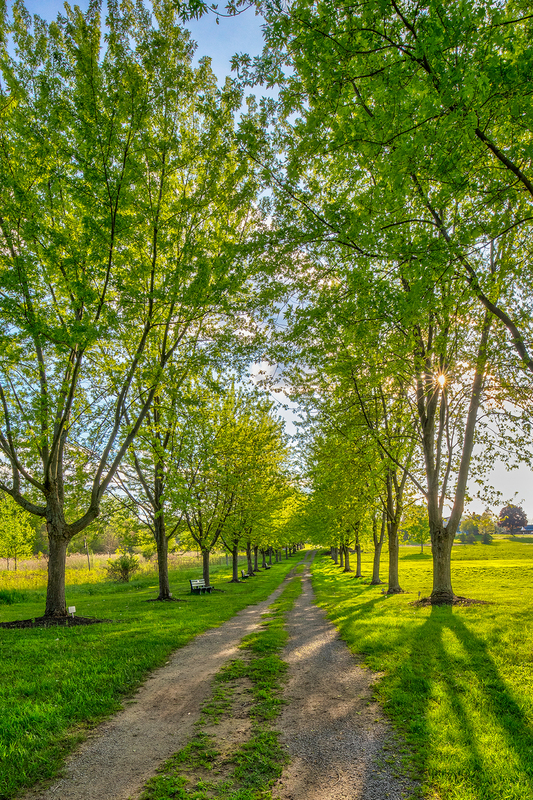 NY676.jpg :: One of several trails found in Tinker Nature Park

Henrietta NY - Spring 2019