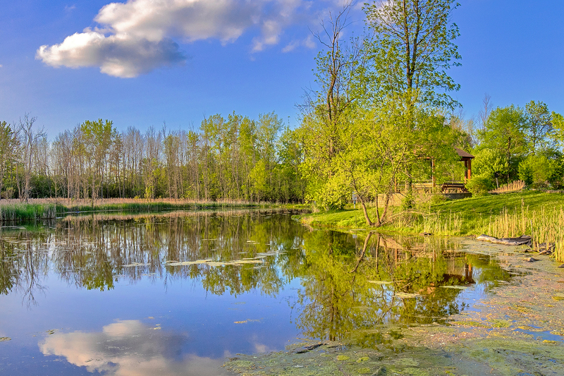 NY677.jpg :: Hidden by vegetation is a lovely gazebo bordering a pond at Tinker Nature Park

Henrietta NY - Spring 2019