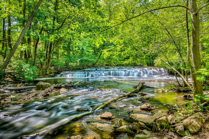 NY678.jpg :: Looking upstream at the creek inside Corbett's Glen Park

Brighton NY - Spring 2019