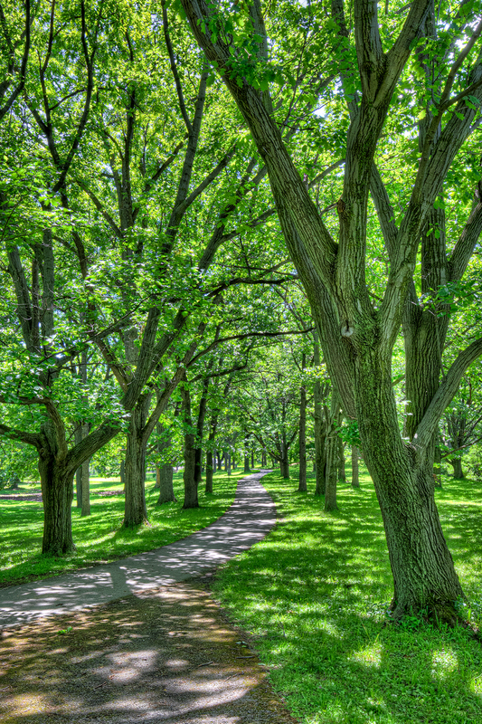NY696.jpg :: Looking along one of many bicycle paths within Genesee Valley Park

Rochester NY - Spring 2019