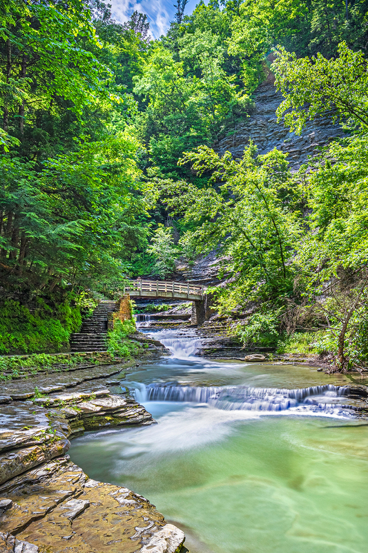 NY704.jpg :: Looking upstream in Stony Brook Park with a wooden bridge in the background

Stony Brook Park - Dansville NY - Summer 2019