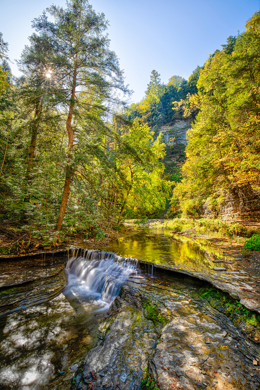 NY719.jpg :: Looking upstream as the Sun illuminates the early Fall color

Stony Brook Park, NY - Fall 2019