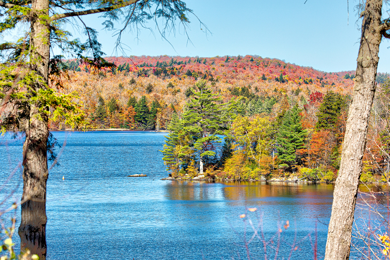 NY729.jpg :: Fall view across White Lake in the Adirondacks

Woodgate NY - Fall 2019