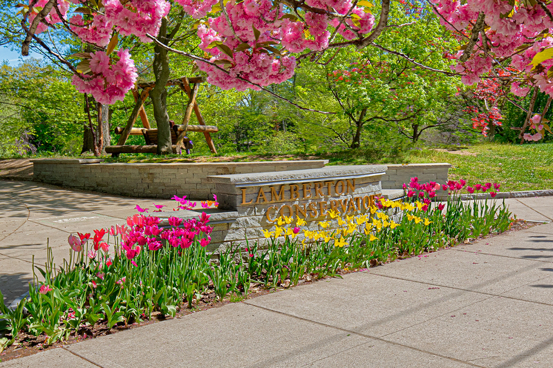 NY761.jpg :: Beautiful flowers adorn the entrance to Lamberton Conservatory

Highland Park, Rochester NY - Spring 2020