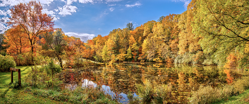 NY780.jpg :: Panoramic view of Pat Lake in the peak of Fall season

Durand Lake ROC NY - Fall 2020