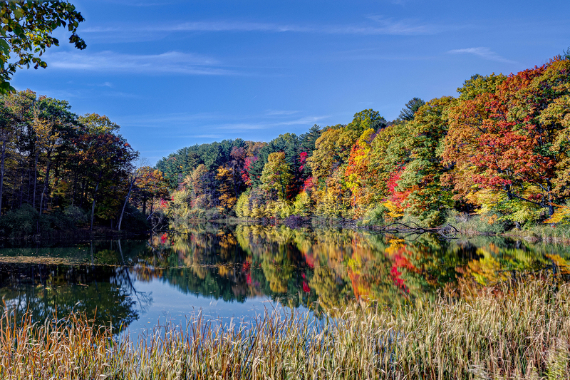 NY795.jpg :: Gorgeous Fall color and reflection on Eastman Lake at Durand Eastman Park

Rochester NY - Fall 2022