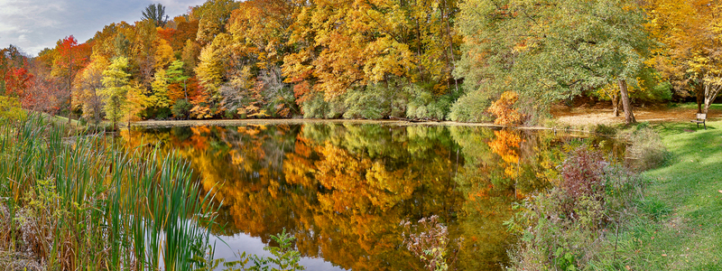 NY823.jpg :: Panoramic view of Pat Lake, Log Cabin Rd

Durand Eastman Park NY - Fall 2024