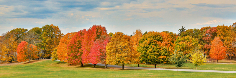 NY824.jpg :: Panoramic view of Fall foliage near 'Stewart Lodge

Mendon Ponds Park NY - Fall 2024