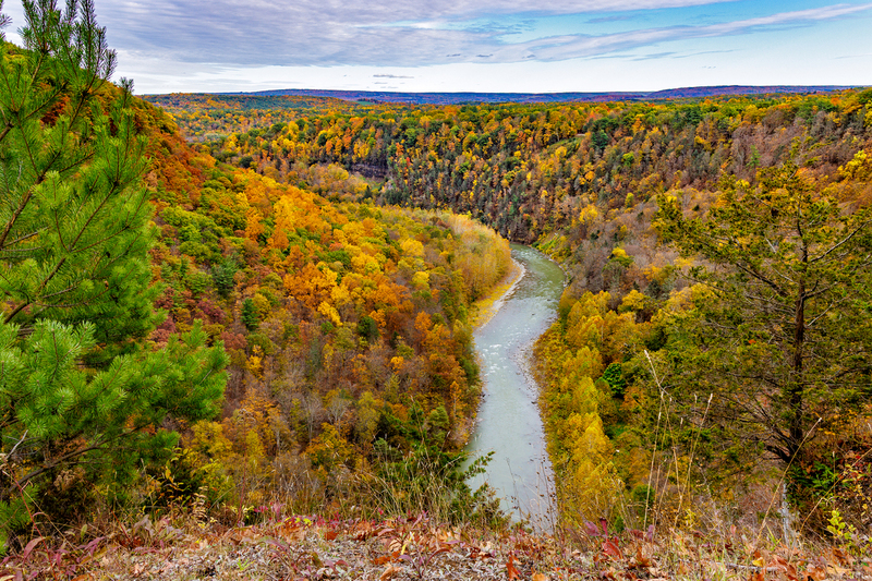 NY828.jpg :: Easterly view from Archery Field Overlook in Letchworth State Park

Letchworth State Park NY - Fall 2025
