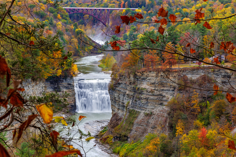 NY829.jpg :: Framed-in view of Middle Falls from Inspiration Point

Letchworth State Park NY - Fall 2025