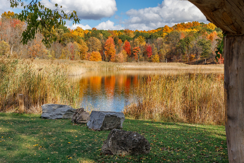 NY833.jpg :: Fall view of Mendon Pond Park's \
