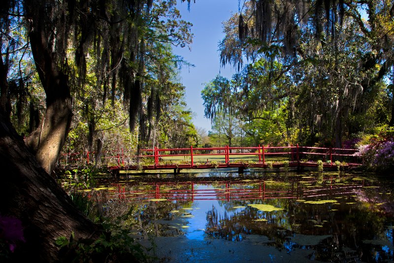 SC019.jpg :: One of many bridges within the Magnolia Plantation

Charleston area SC - Spring 2011