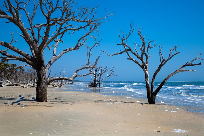 SC028.jpg :: Botany Bay Plantation shoreline

Edisto Island SC - Spring 2011
