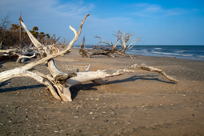 SC029.jpg :: A view along the Botany Bay Plantation shoreline

Edisto Island SC - Spring 2011